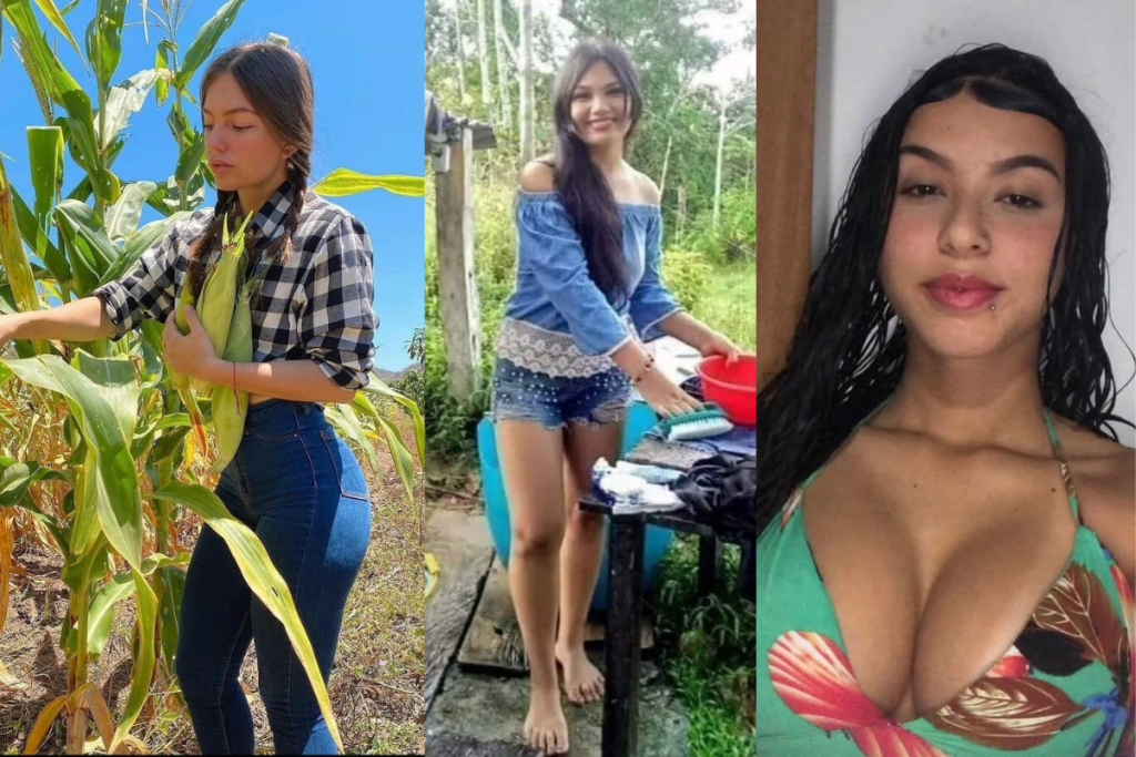 Os Estados Brasileiros Onde as Mulheres São Maioria Entre os Solteiros