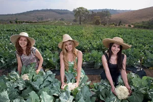 5 Cidades com Mais Mulheres Solteiras no Maranhão
